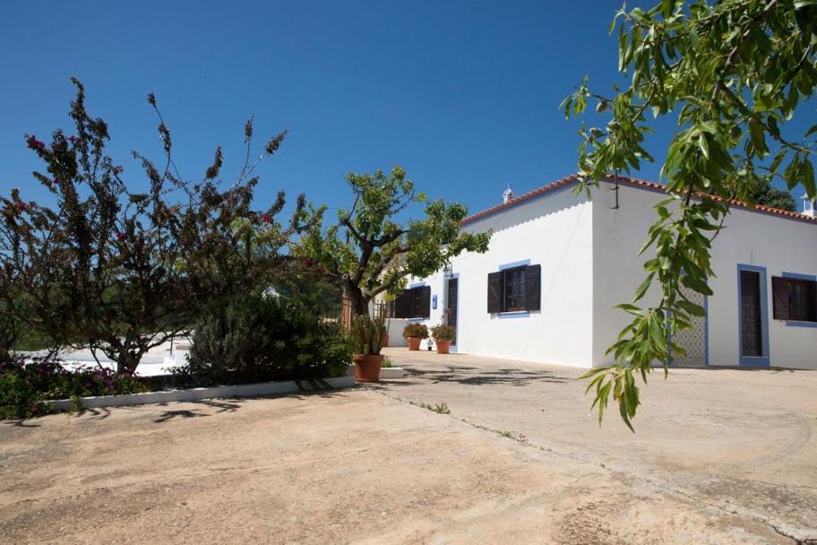 Cozy Algarve With Vineyard View Near Beaches Villa Porches (Algarve)